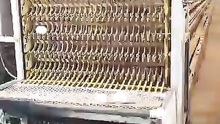 The Duck Farming Process of the Chinese People #duck #eggs #duckfarm #shorts #viralvideo #eggfarm