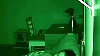 Cat Topples Vase Away from Sleeper to Avert Shelf Collapse #NightVision #Shorts