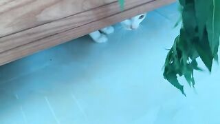 Yes. the cat doesn't like that - Kiki cat doesn't like that