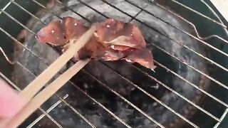 Cats eat grilled fish