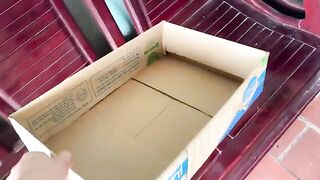 Diy cat bed out of cardboard boxes