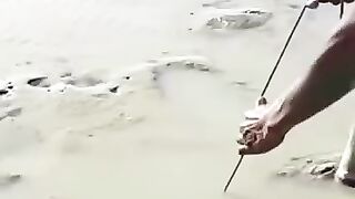 Fishing eel.. Big eel