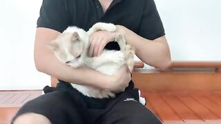 When I hug Kiki cat like a baby