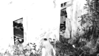 Who Is The Mysterious Woman? #CCTV #RealFootage #SecurityCamera #CaughtonCCTV