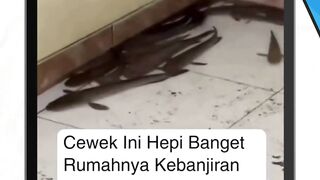 Banjir senang