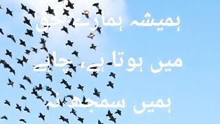 Trust Allah’s Plan | Islamic Motivation