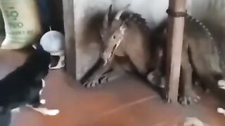 Mystère de la nature