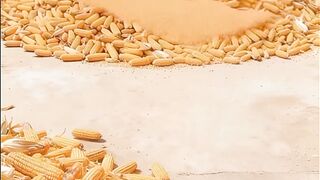 Ye hai duniya ka sabse tej human thresher! ???? Bijli ka bill bachao, inko kaam pe lagao