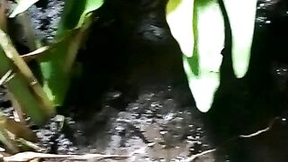 ternyata benar ya,pantesan ikan pada betah kak