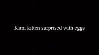 Kimi kitten recent episode