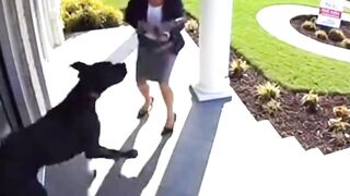Unknown Woman Chased By Great Dane #CCTVFootage #CloseCall