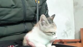 Kimi the kitten beside me
