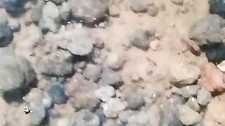 Pasti banyak yg belum tahu ini,ternyata ikan suka berduaan juga ya?