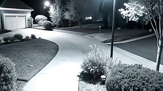 Giant creatures caught on CCTV #scary #cctvfottage #monster #horror