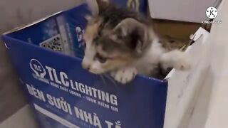 Kimi's lovely actions