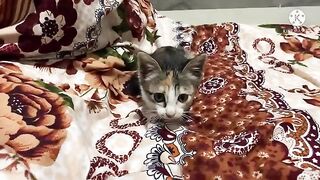 Kimi entered the new room