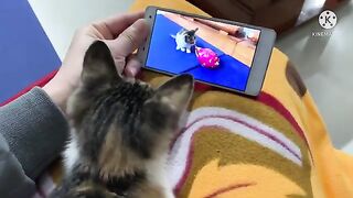 I’m happy to watch a drama with cat Kimi on a holiday night