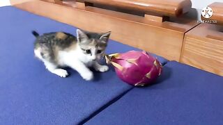 Kimi and dragon fruit