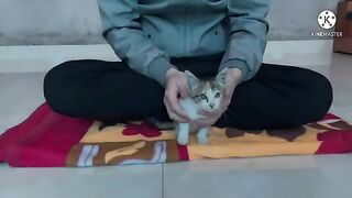 Playing with Kimi cat