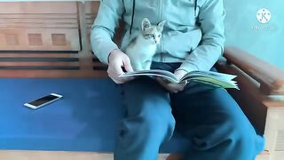 kitten won't let me study | Cute animals