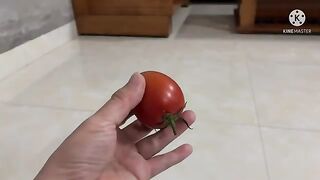 Kitten and tomato