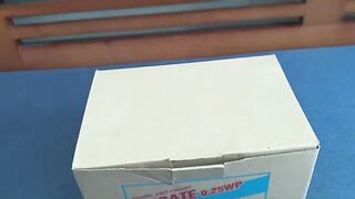 Unboxing an adorable kitten.