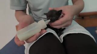 Trim kittens' claws, as their claws are very sharp and can injure other cats.