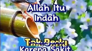 Allah's plan is beautiful