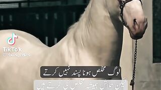Logo Pasand nahi karty