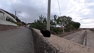 When I petted the black cat on the breakwater, it naturally purred on my lap and became so cute.