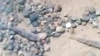 ternyata ikan suka tempat yg seperti ini