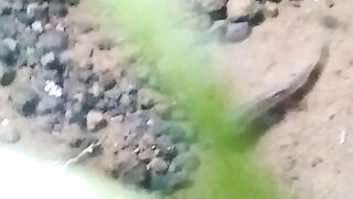 apa yg di lakukan ikan ini???