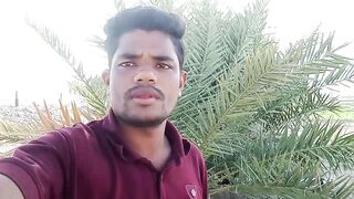 আমার খেজুরের বাগান দেখুন
