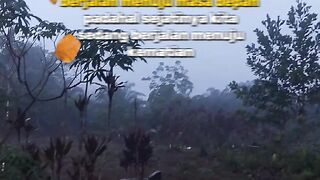 Semua mahluk hidup pada sejatinya