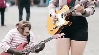Viral Monkey Playing Acoustic Electric Guitar #empudstudiogrup #empudstudio #shorts