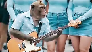 Monkey Playing Guitar Goes Viral in Thailand #empudstudiogrup #empudstudio #shorts