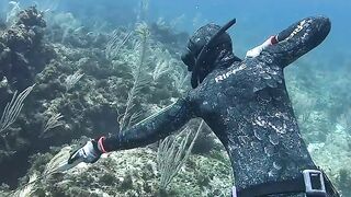 Fighting underwater with big giant black grouper