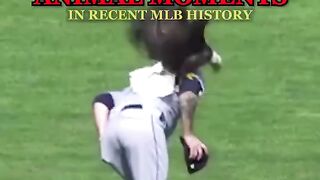 Animal Moments in MLB History
