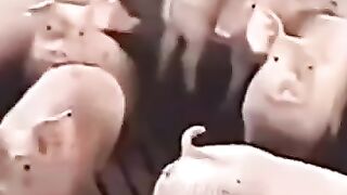 malah milih diem #ngakak #lucu #funnyvideo