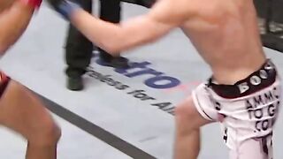 Boy ufc