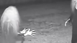 WITCHES Playing Catch Caught on CCTV #shorts #spooky #viral