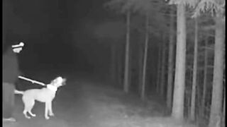What the Dog Saw at Night Was Not Normal #horror #scary #cctvfootage