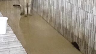 Capcut new trending music video watching now and subscribe my channel 36