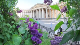 Saint-Petersburg - Kazan Cathedral: where hearts bloom with lilacs
