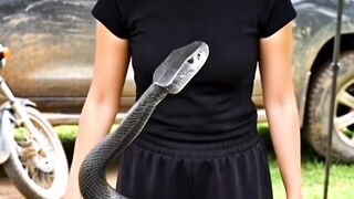 The ending... #life #enjoy #snake #funny