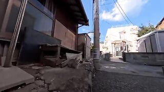 A grey cat I met in a back alley on Cat Island happily climbed onto the wall when I petted it.