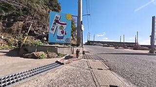 A cute black cat clinging to you at the harbor is so adorable!
