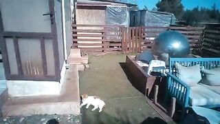 Moving Everything