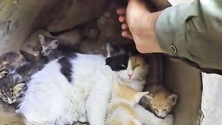 She Lost Her Owner, Then Life Changed Forever