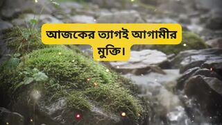 অন্যরা যা করছে সেটা দেখে হাল ছাড়বেন না — নিজের পথ